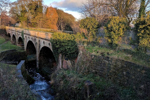 The Hermitage, which is home to King's Mill Viaduct (pictured), is the sixth of Mansfield's local nature reserves to be featured in this 'Things To Do' guide. Small and opened only 18 years ago, the reserve is dominated by the disused millpond of Hermitage Mill. A total of 46 species of bird have been spotted here, including the grey heron, kingfisher, willow tit and bullfinch.