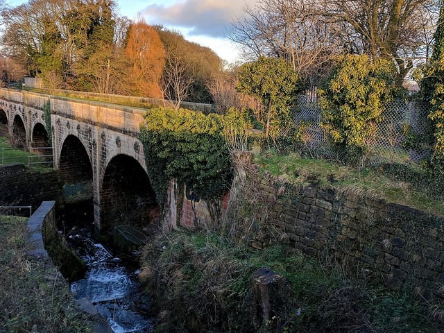 The Hermitage, which is home to King's Mill Viaduct (pictured), is the sixth of Mansfield's local nature reserves to be featured in this 'Things To Do' guide. Small and opened only 18 years ago, the reserve is dominated by the disused millpond of Hermitage Mill. A total of 46 species of bird have been spotted here, including the grey heron, kingfisher, willow tit and bullfinch.
