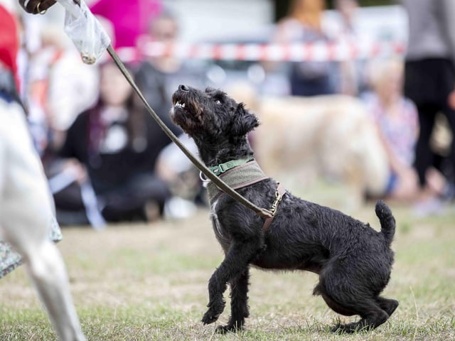 The Bank Holiday event at Irchester Park on Monday (August 29) raised nearly £2,400 for the charity