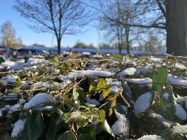 Frosty leaves and blue skies at Tesco Mereway.