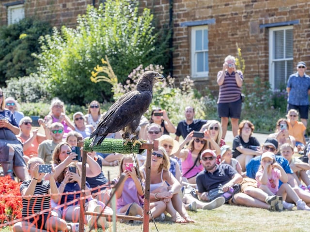 Families visited Delapre Abbey on Sunday August 17 to meet and learn about birds of prey.