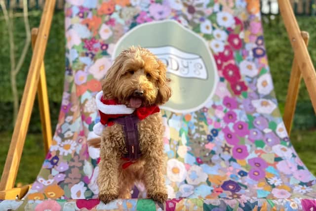 Teddy’s hosts a number of themed events throughout the year to allow owners to get involved, as they usually drop their pets off and it is the staff who get to have all the fun.