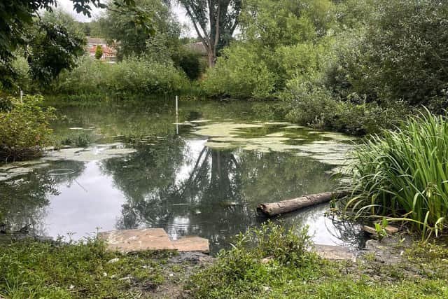 Diesel had been dumped in the lake. Photo: RSPCA.