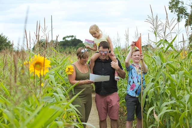 Family studying the maze map!