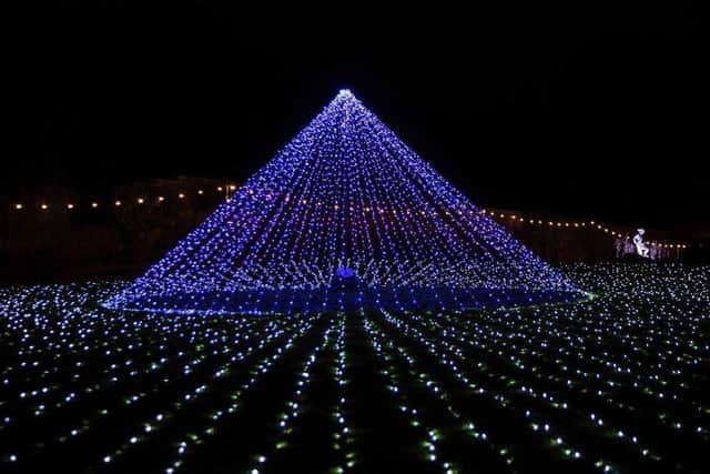 The Winter Light Trail at Delapre Abbey in 2021. Photo: Kirsty Edmonds.