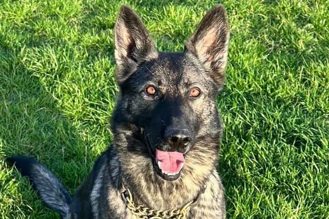 PD Ebby helped to find the men who made off from the vehicle.
