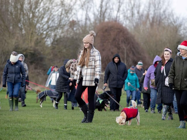 The popular event saw more than 100 dogs walked around Bradlaugh Fields in Northampton on Sunday (December 22).