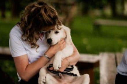 Pamper My Poochie has had a “great response” from Northamptonshire, as Jules says people want dog-friendly wedding venues to welcome in their furry friends. Photo: James Morris Photography.