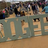 The hidden gem T’s Coffee, known for its monthly mini markets and craft fairs, is hosting ‘Dog Fest’ this Sunday (April 28).