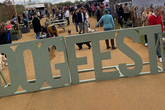The hidden gem T’s Coffee, known for its monthly mini markets and craft fairs, is hosting ‘Dog Fest’ this Sunday (April 28).
