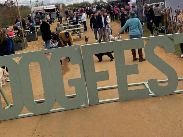 The hidden gem T’s Coffee, known for its monthly mini markets and craft fairs, is hosting ‘Dog Fest’ this Sunday (April 28).