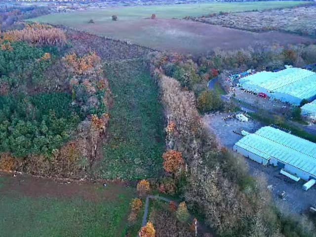 Aerial footage shows 1,800 trees in this section of Harlestone Firs, near Lodge Way, have been felled to make way for the NWRR.