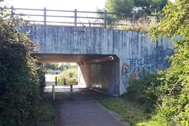 The underpass where Dylan was stabbed