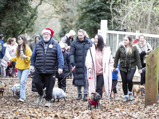 Nearly 100 French Bulldogs wore Christmas outfits for a festive walk at Hunsbury Hill Country Park on Sunday (December 17).
