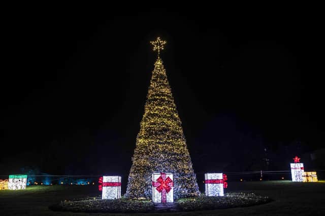 The Winter Light Trail will return for Christmas 2024. (File picture from the event in 2023).