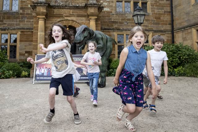 The Dinosaur in the Park event is coming to Delapre Abbey next month. Photo by Kirsty Edmonds.