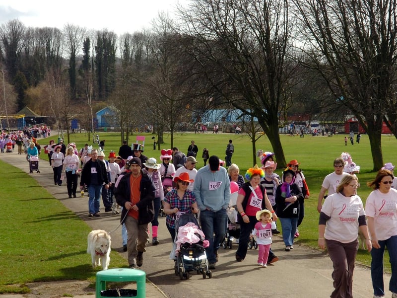 Kettering Wicksteed Park Crazy Hats Walk March 2010