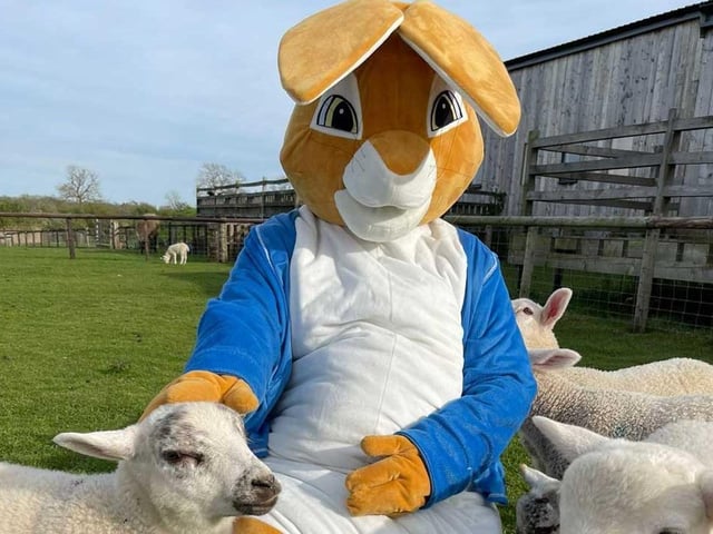 The popular farm’s Easter Extravaganza is taking place from Good Friday until Easter Monday.
There will be a trail for youngsters to follow and they will also be able to cuddle chick and ducklings and play with the farm’s goats.
Standard entrance tickets need to be purchased ahead of time and then tokens for each activity can be bought on the day.