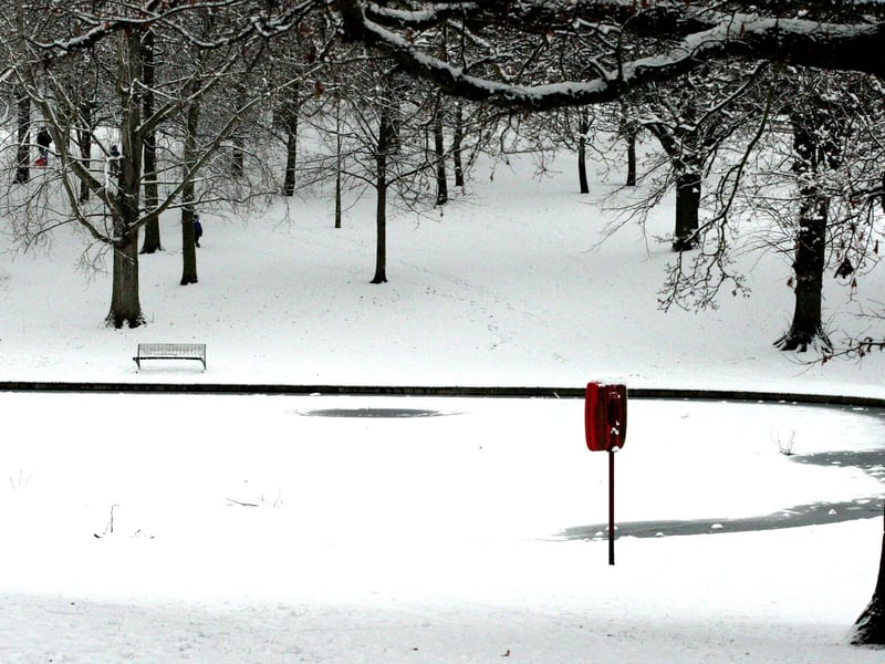 Abington Park