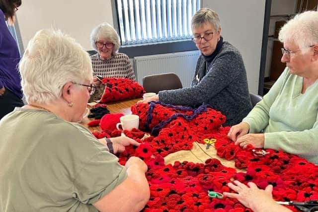 Woodford Halse Community Crafting was founded by Hilary Wintersgill after a resident suggested the idea of covering a horse with poppies as part of the village’s Remembrance celebrations.