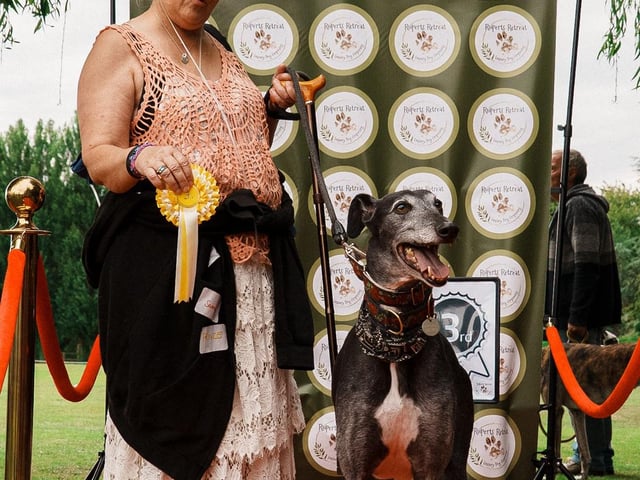 3rd Place Golden Oldie