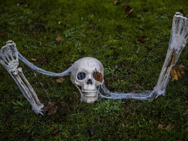 Carved pumpkins, skeletons named after staff members, a grim reaper and so much more.