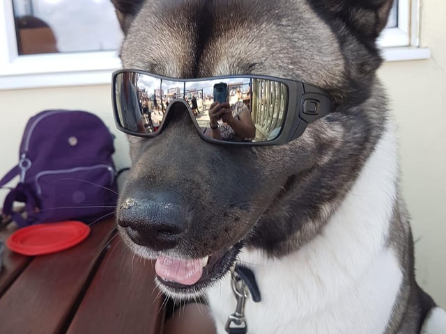 "Who says I can't look cool too?"