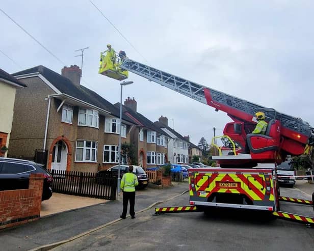 Firefighters helping rescue the Harris hawk in Northampton yesterday (Wednesday)