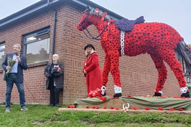 Woodford Halse Community Crafting was founded by Hilary Wintersgill, and she and her dream team worked hard for 18 months to create around 10,000 poppies for a Remembrance Day project. Having purchased a horse statue, which they named ‘Jim the War Horse’, the group created a poppy bodysuit for him to wear each year as part of the village’s Remembrance celebrations. Jim is now a permanent fixture in Woodford Halse and his unveiling was received extremely well by the community back in November.