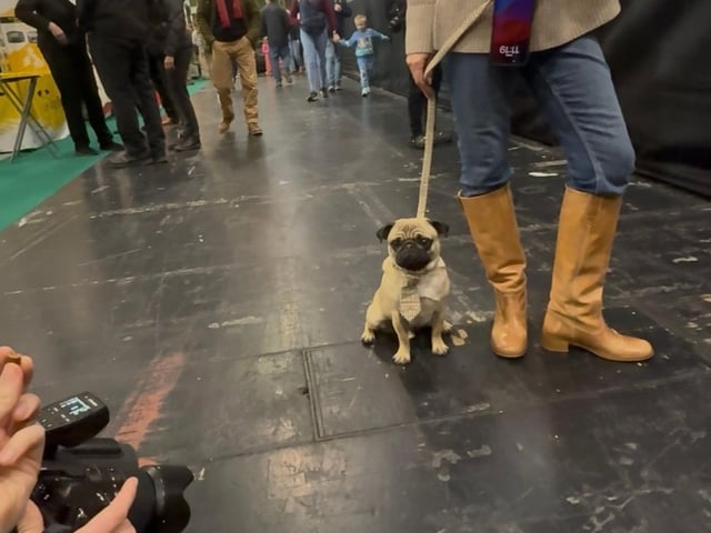 Being photographed for Vogue Magazine