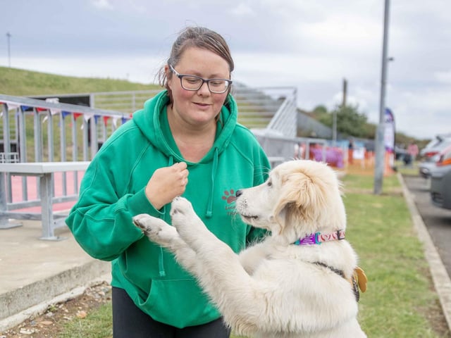 The flyball team hosted a fun dog show at Sixfields Stadium on Sunday September 29 to celebrate its milestone anniversary.