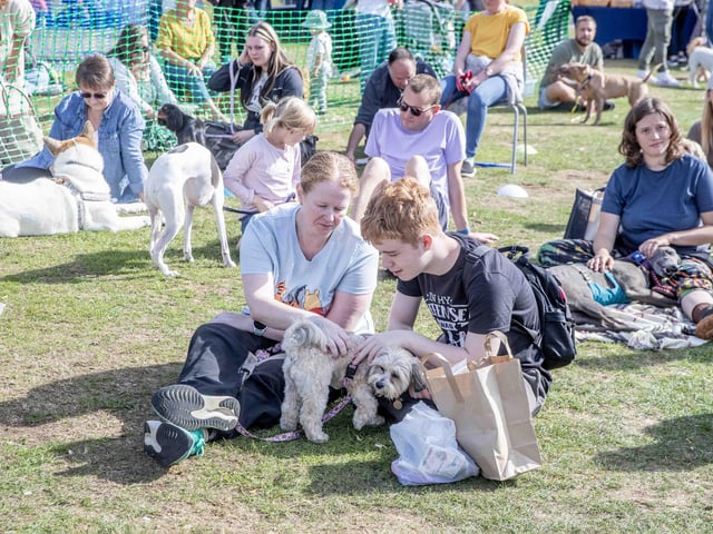 Pooches and owners alike enjoying the popular dog festival on Saturday September 14, 2024.