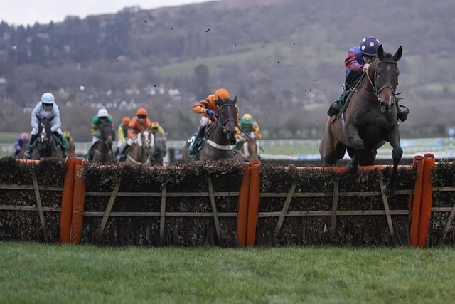 Only one thing is guaranteed at Cheltenham this week -- and that is that the roof will come off if 12yo warrior PAISLEY PARK wins another Paddy Power Stayers' Hurdle on Thursday (3.30), fully five years after his first. Emma Lavelle's veteran of 30 races, owned by blind enthusiast Andrew Gemmell, has tasted defeat in each of the last four renewals, but he has remained remarkably sound and is still performing consistently well at the highest level. He is joined in the race by two other former winners in Flooring Porter and another 12yo, Sire Du Berlais.