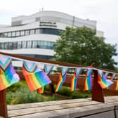 Pride flags on Becketts Bridge, Waterside.