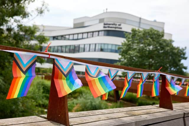 Pride flags on Becketts Bridge, Waterside.