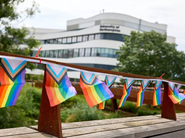 Pride flags on Becketts Bridge, Waterside.