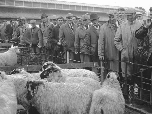 October 28, 1967 - Northampton cattle market
