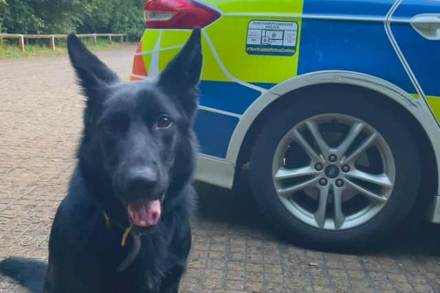 PD Kola found the driver after he ran from police.