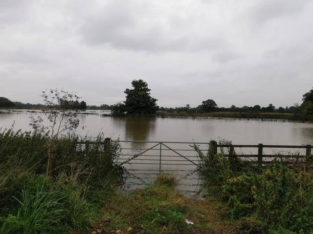 A field next to Kislingbury bridge/country path to Upton under water.