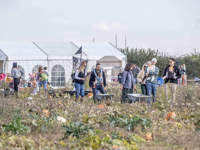 The farm reopened for the 2024 autumn season over the weekend (Saturday October 5 and Sunday October 6).
