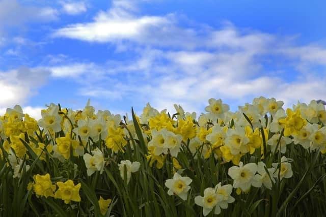 A heat-health warning has been extended across Northamptonshire.
