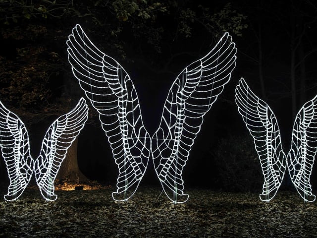 Take a look around the winter light trail, which is now open and will be until December 31.
