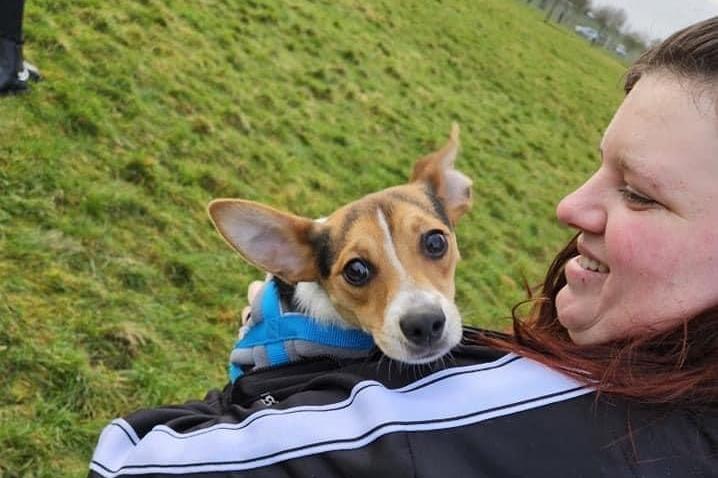 Lucky pictured.
