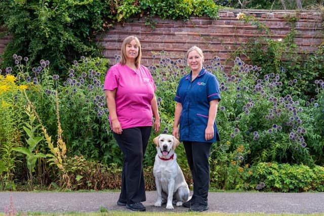Owners of the Vets4Pets practice, Jenny Millington (left) and Davina Graves (right).