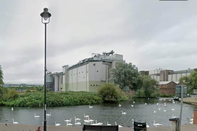 A swan suffered 'horrific' wounds in a dog attack at the Embankment in Wellingborough