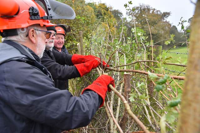 Visitors can learn more about the traditional art of hedgelaying.