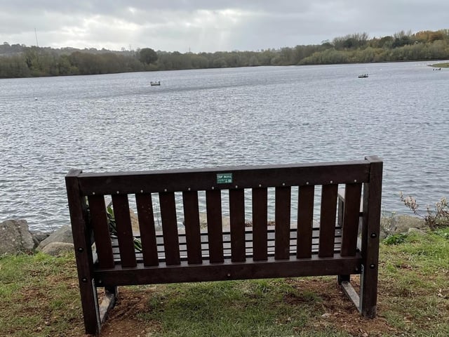 The memorial bench pictured.