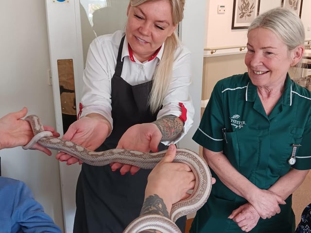 Staff members got involved and came to meet the lovely animals