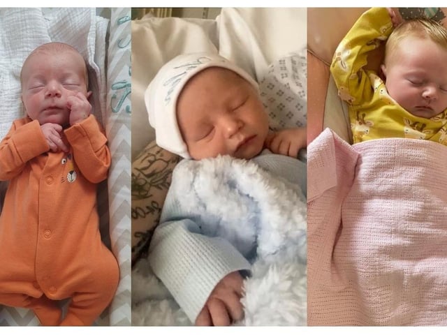 Some of the adorable babies born in Northampton last month.
