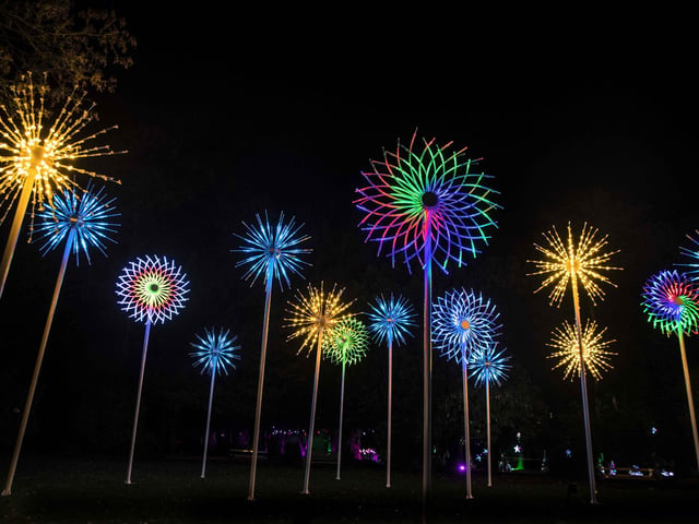 Take a look around the winter light trail, which is now open and will be until December 31.